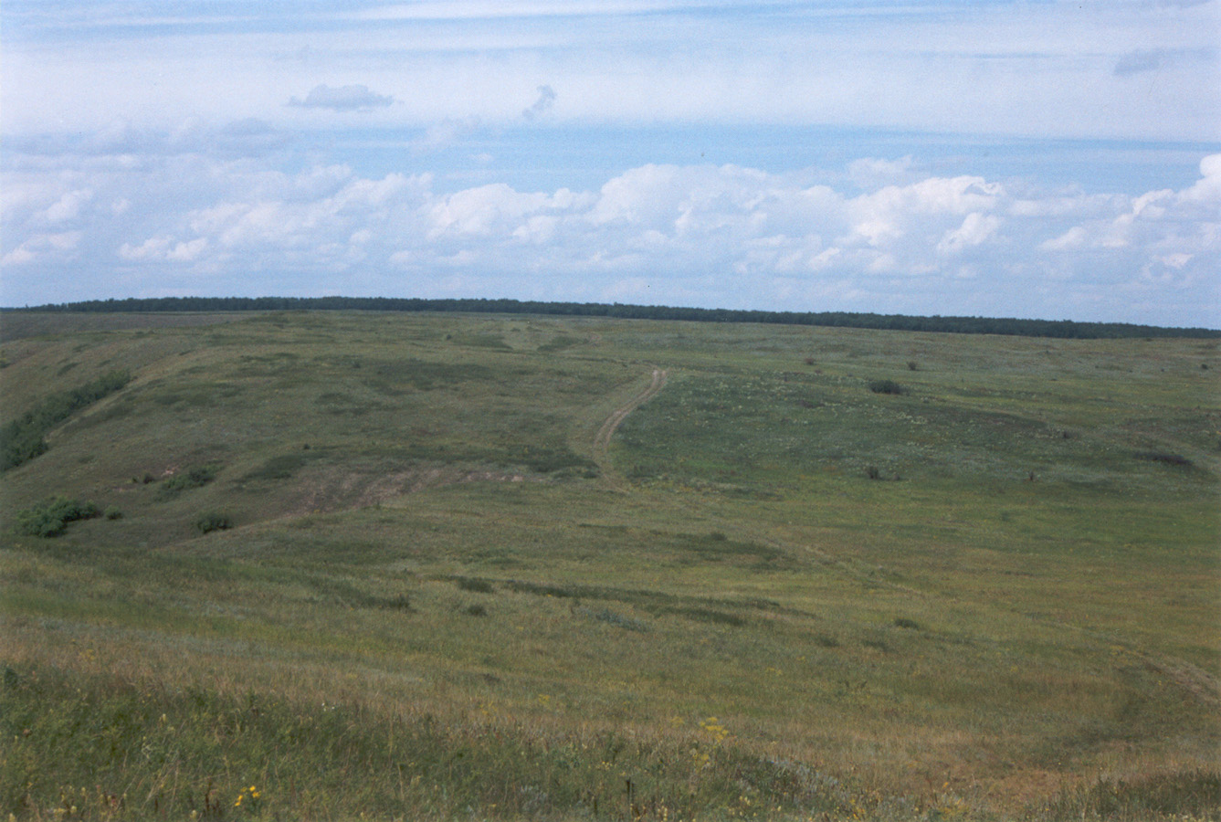 Провалье, Калиновский участок, image of landscape/habitat.