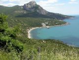Image of landscape