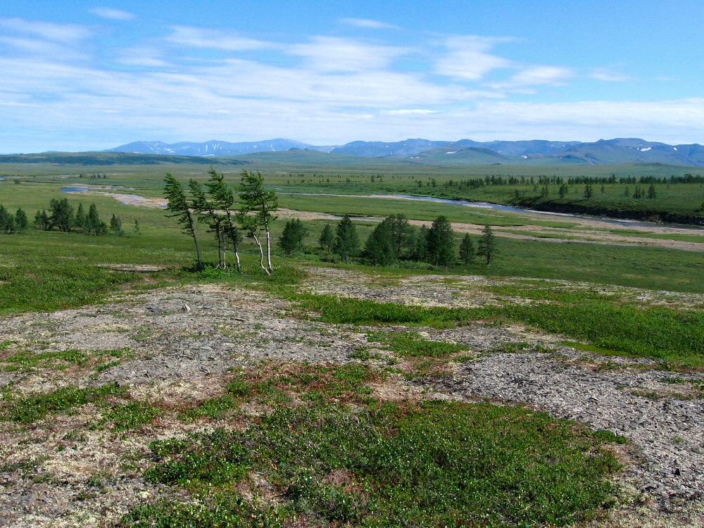 Верховья Харуты, image of landscape/habitat.