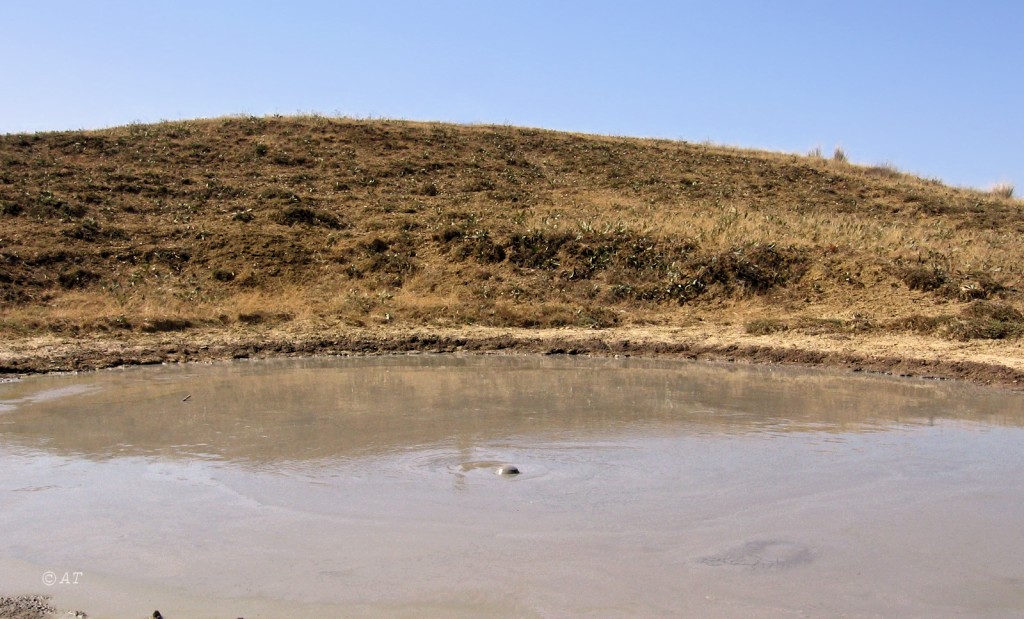 Таманский полуостров, image of landscape/habitat.