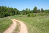 Изборско-Мальская долина, image of landscape/habitat.