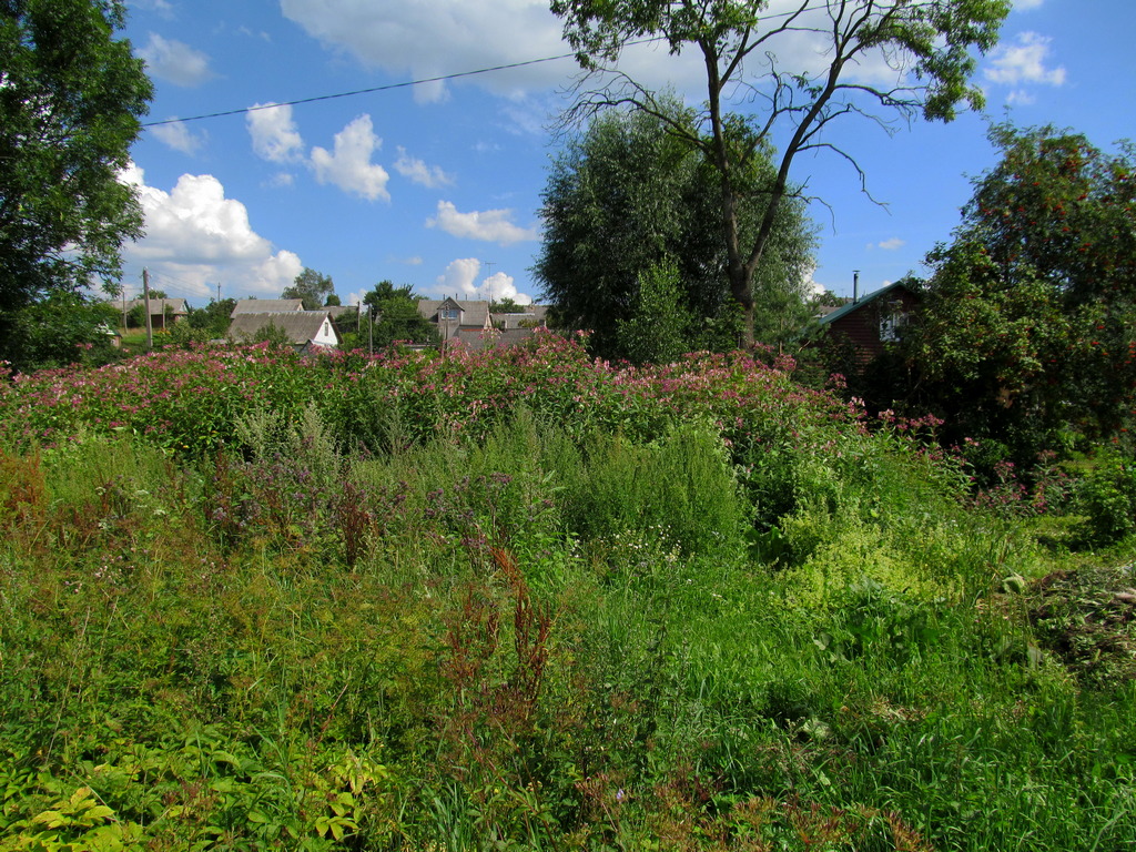 Новогрудок, image of landscape/habitat.
