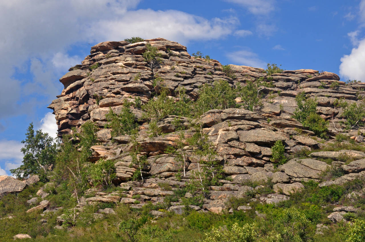 Озеро Колыванское, image of landscape/habitat.