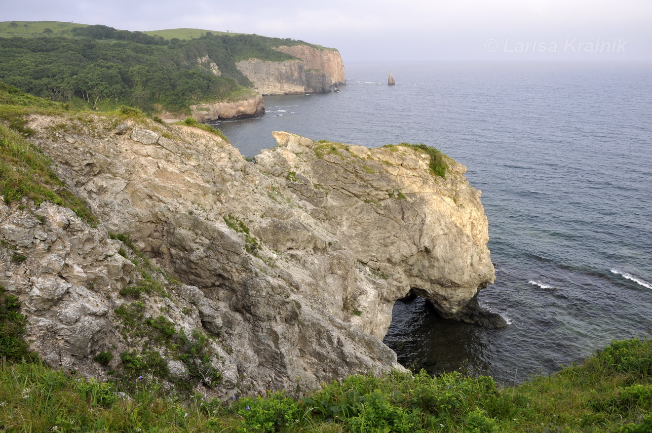 Полуостров Краббе, image of landscape/habitat.