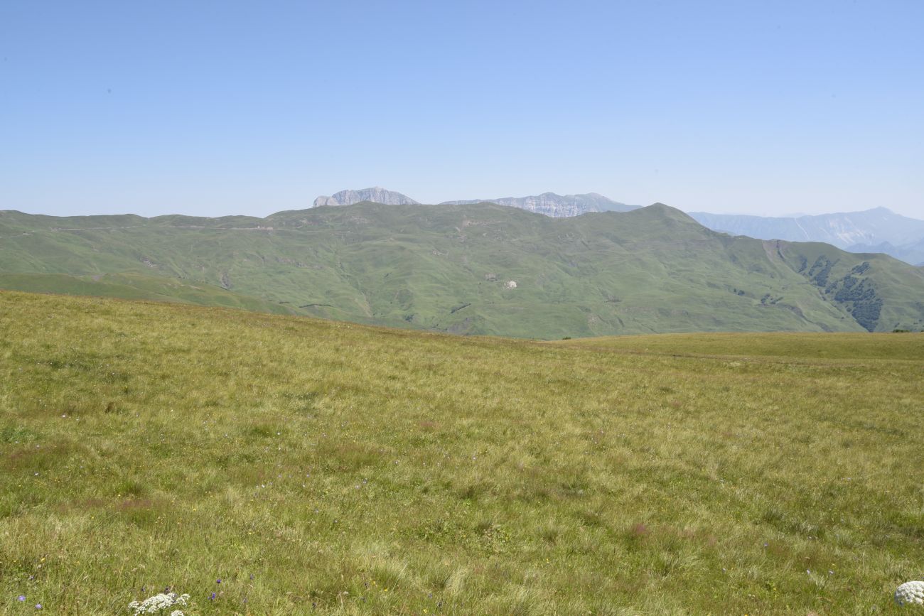 Юго-восточный склон Чархунышкорт, image of landscape/habitat.