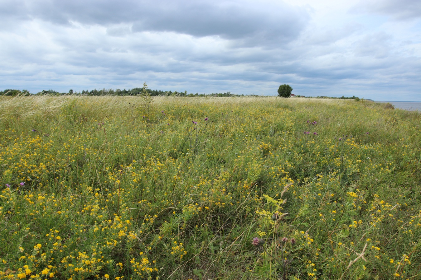 Ильменский глинт, image of landscape/habitat.