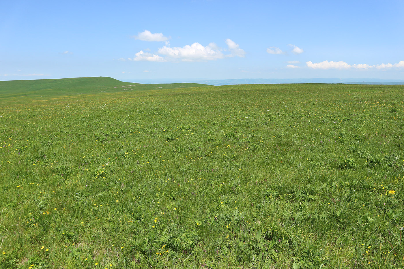 Джангур, image of landscape/habitat.