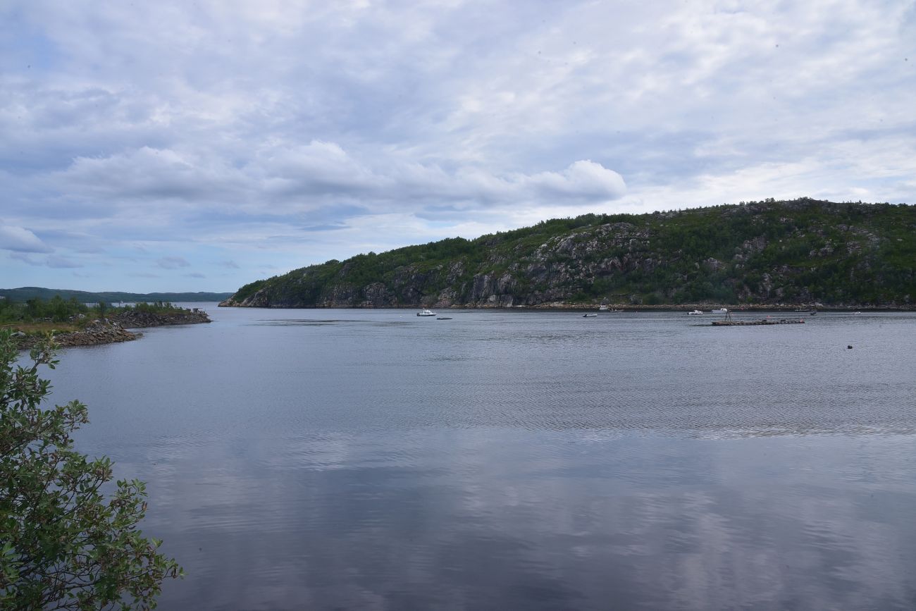 Окрестности посёлка Росляково, image of landscape/habitat.