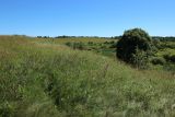Image of landscape