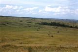 Image of landscape