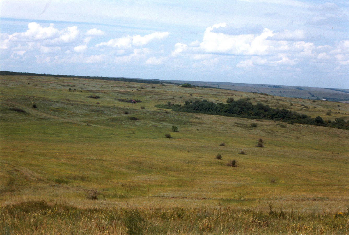 Провалье, Калиновский участок, image of landscape/habitat.