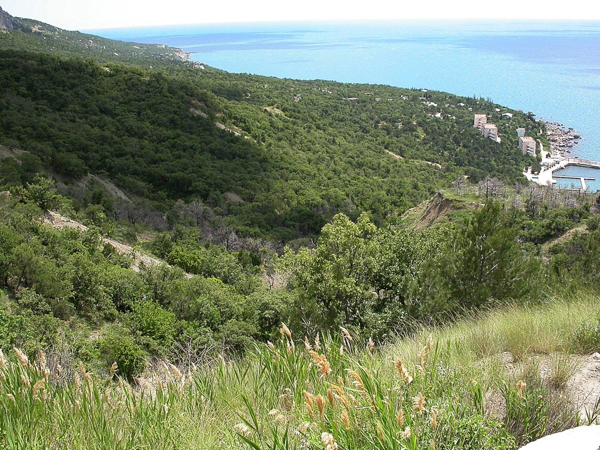 Батилиман, image of landscape/habitat.