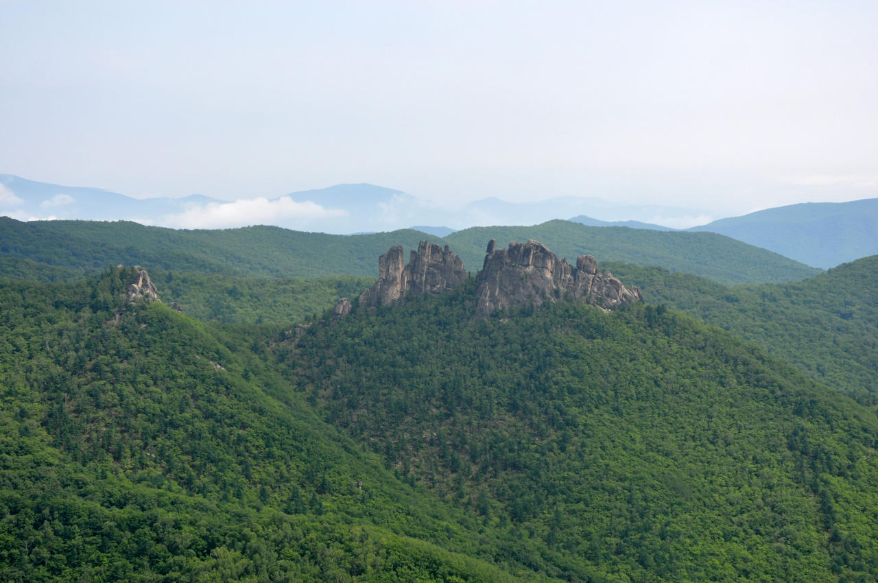 Окрестности села Чистоводное, image of landscape/habitat.