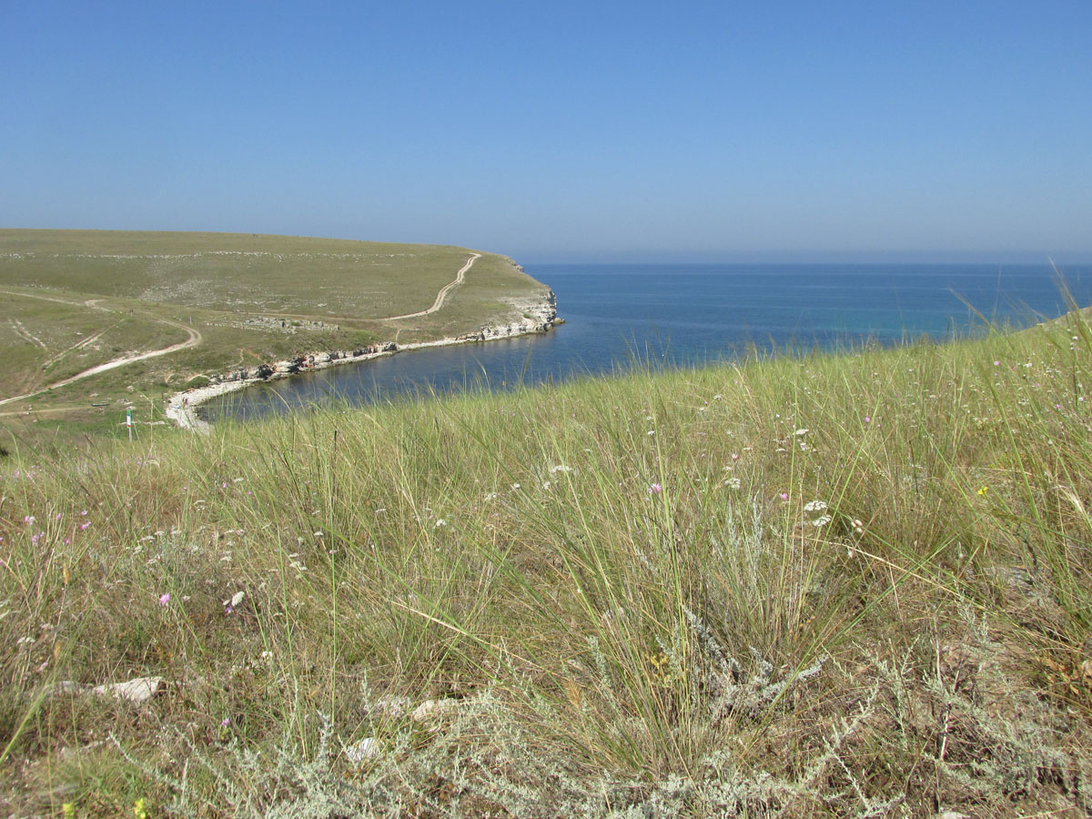 Большой Кастель, image of landscape/habitat.