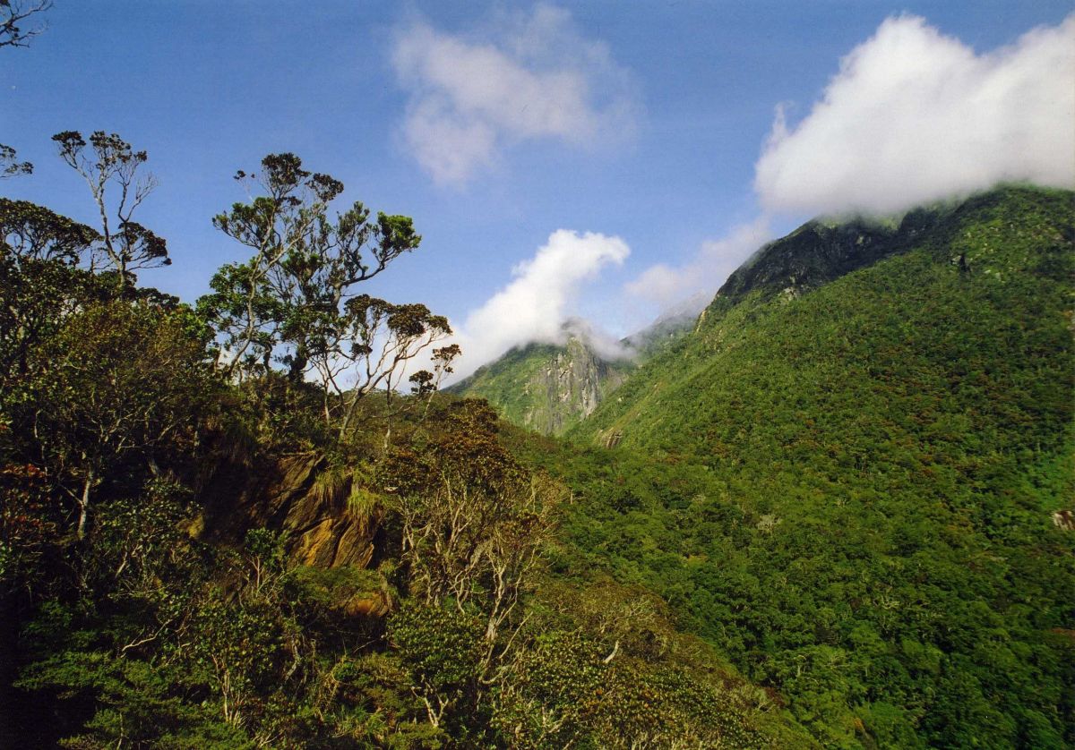 Гора Кинабалу, image of landscape/habitat.