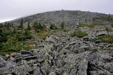 Image of landscape