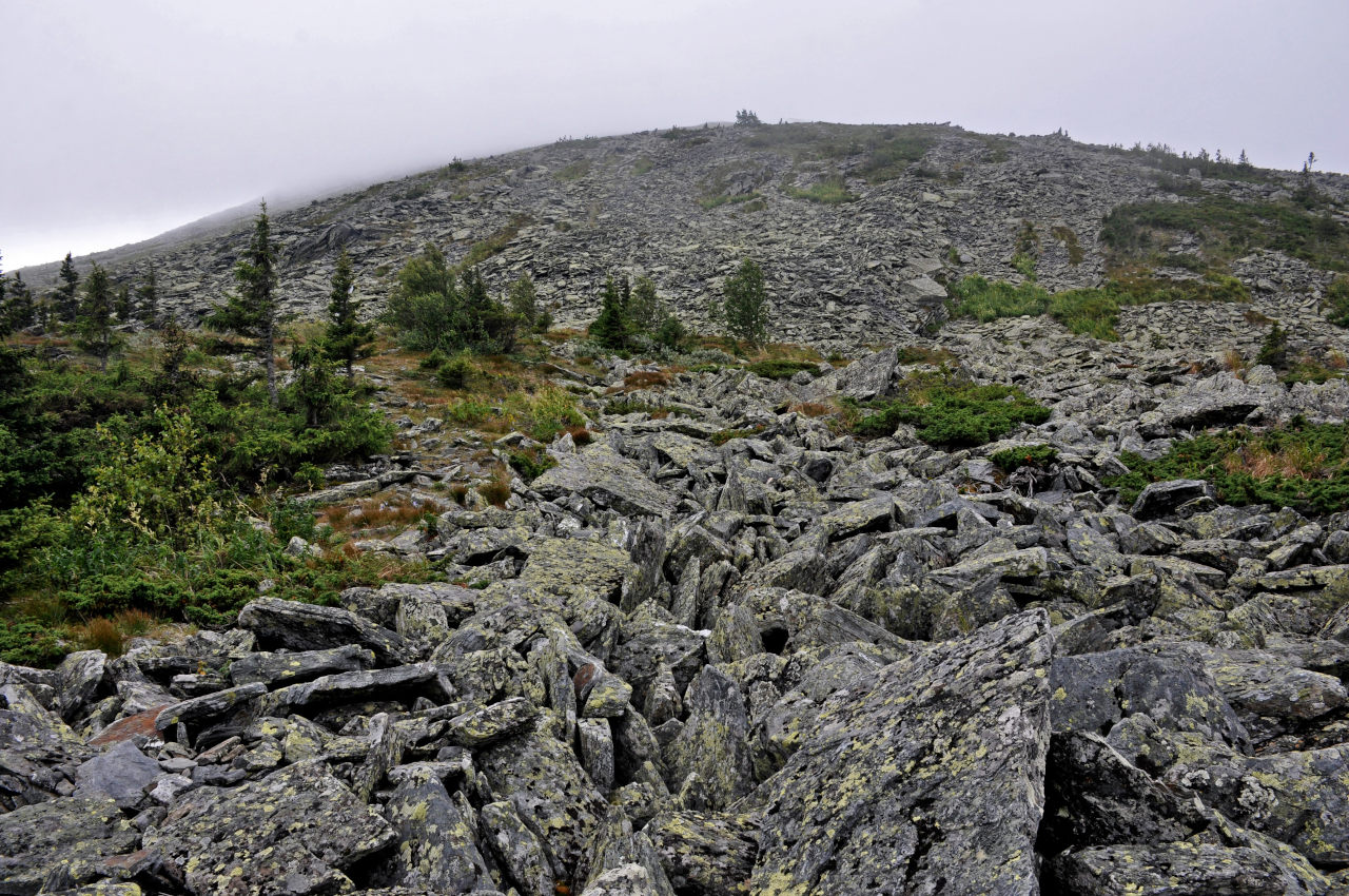 Большой Иремель, image of landscape/habitat.