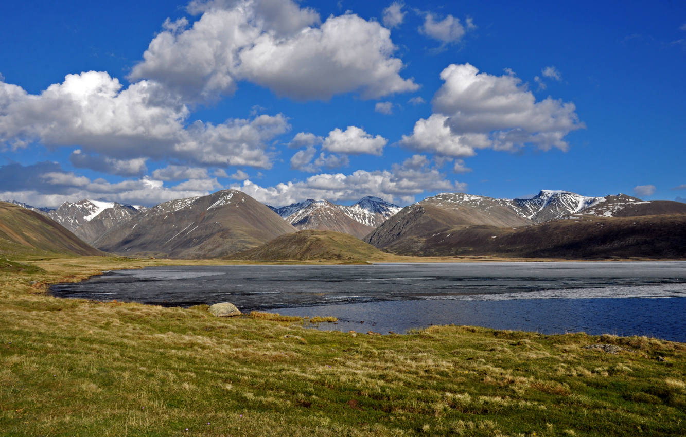 Долина реки Нарын-Гол, image of landscape/habitat.