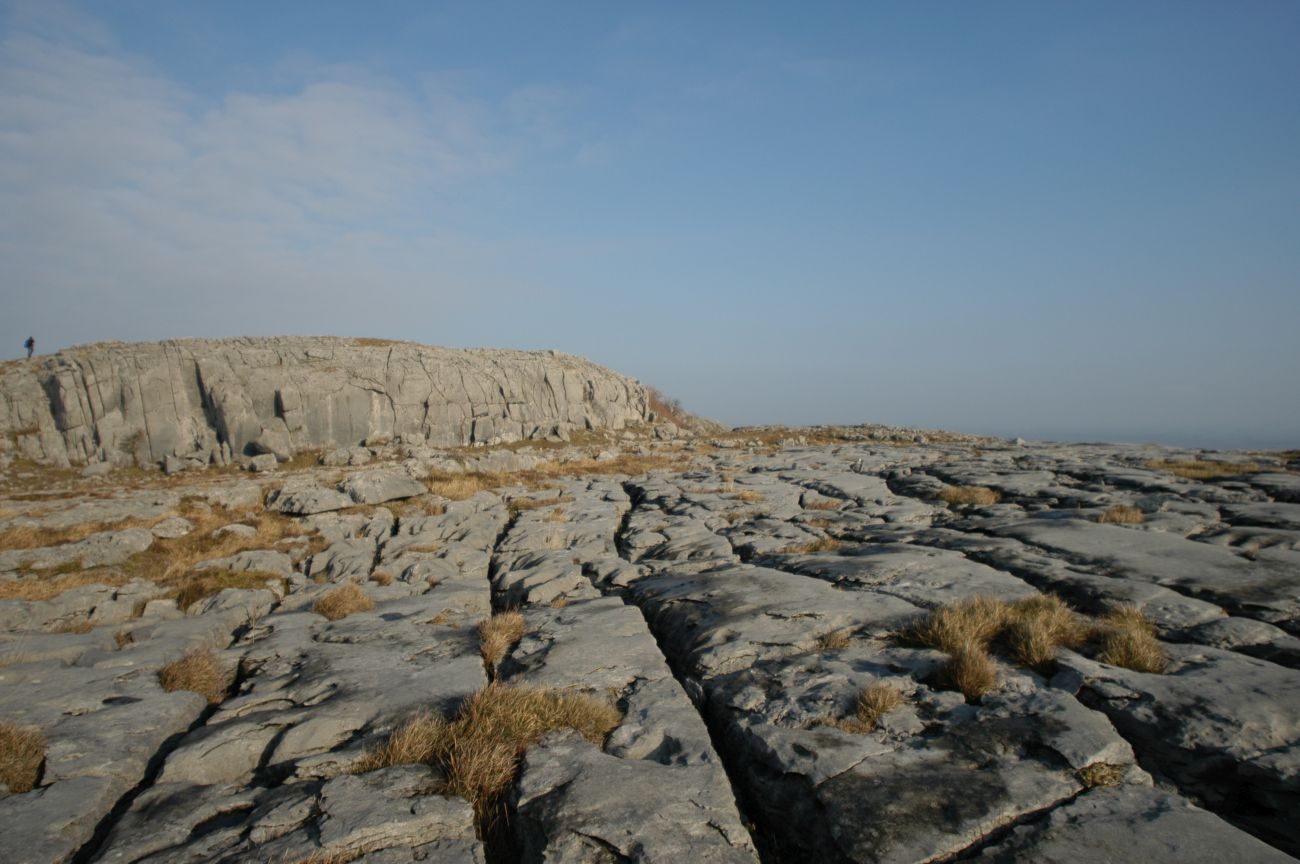 Гора Маллахмор, image of landscape/habitat.