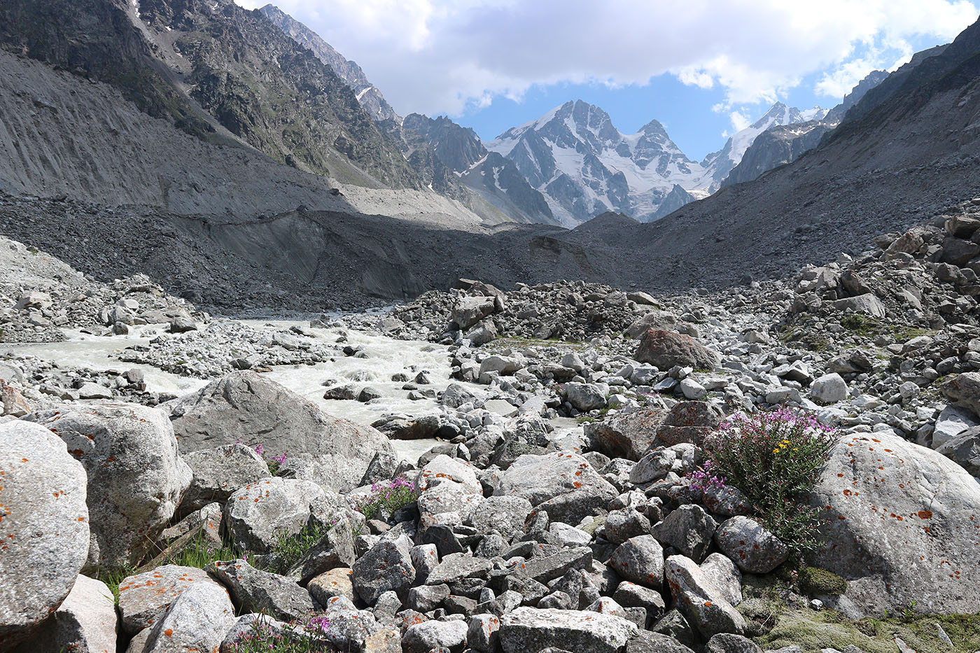 Ледник Нахашбита (Псыгансу), image of landscape/habitat.