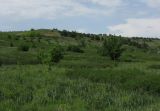 Митякинка, image of landscape/habitat.