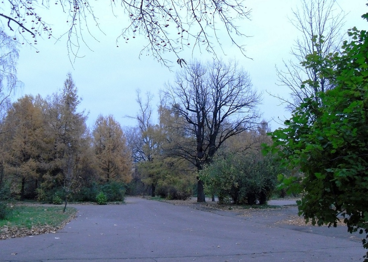 Кусково, image of landscape/habitat.