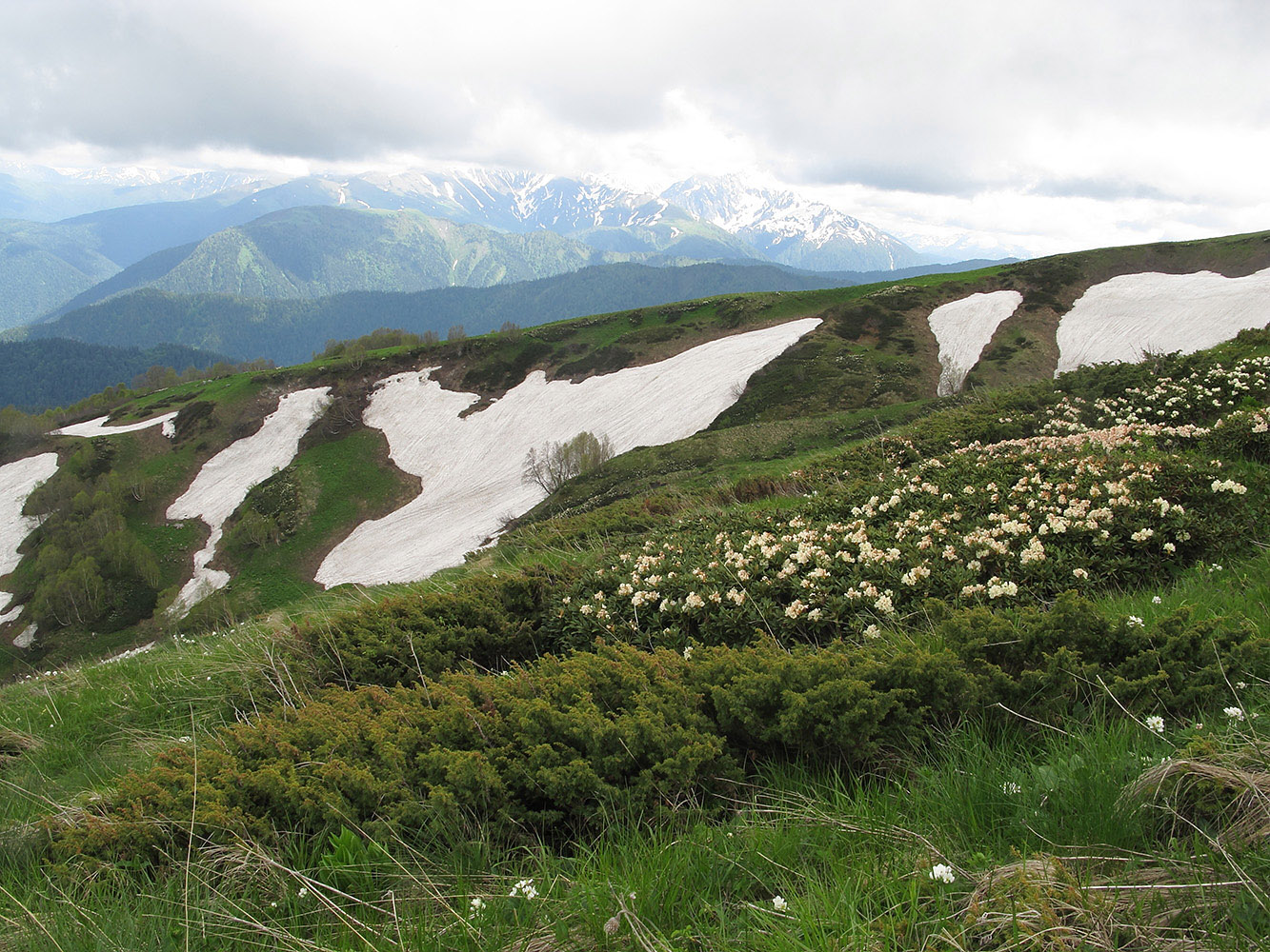 Гора Гузерипль, image of landscape/habitat.