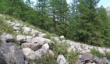 Image of landscape