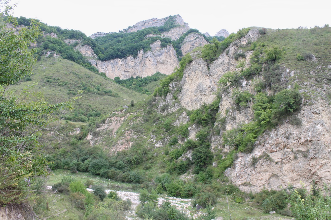 Бедык, image of landscape/habitat.