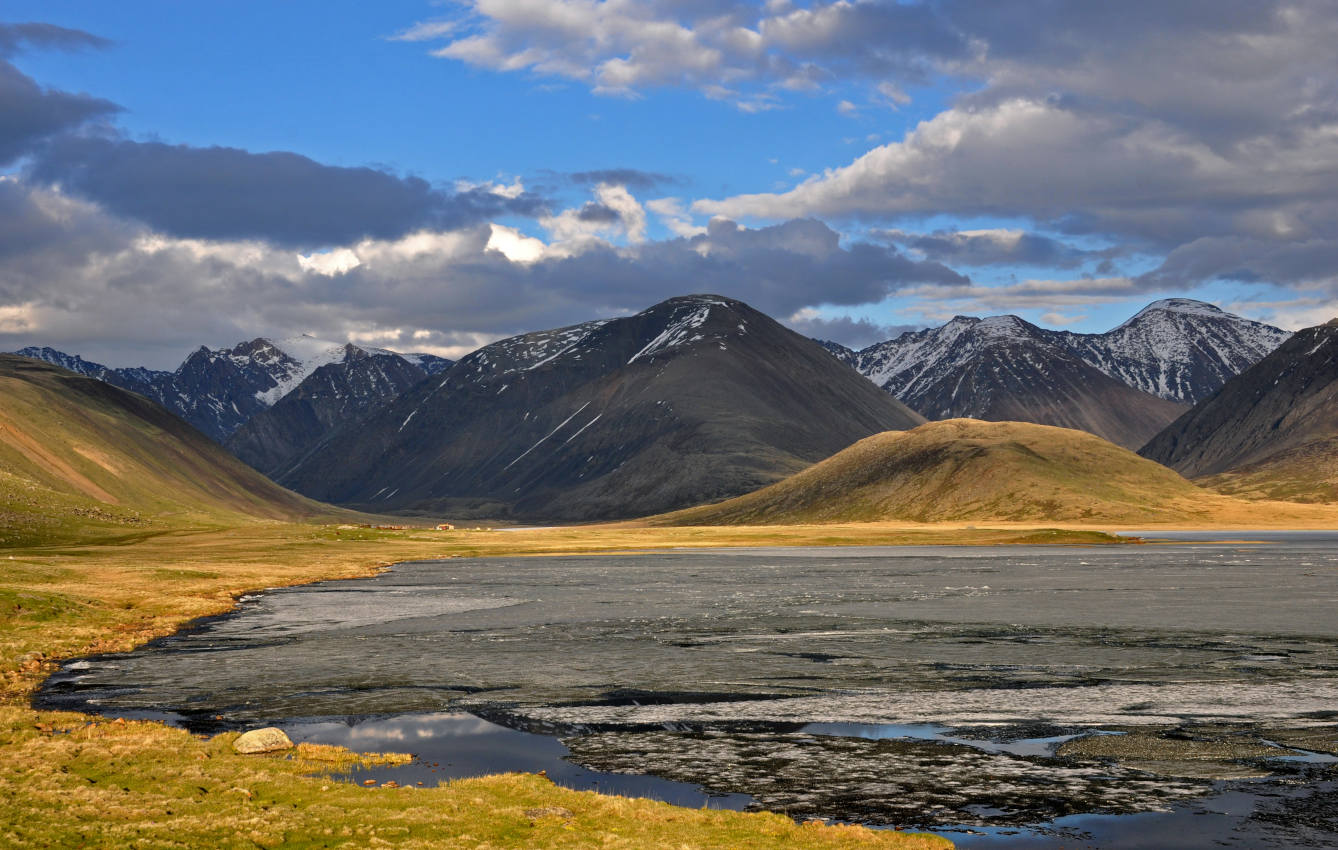 Долина реки Нарын-Гол, image of landscape/habitat.