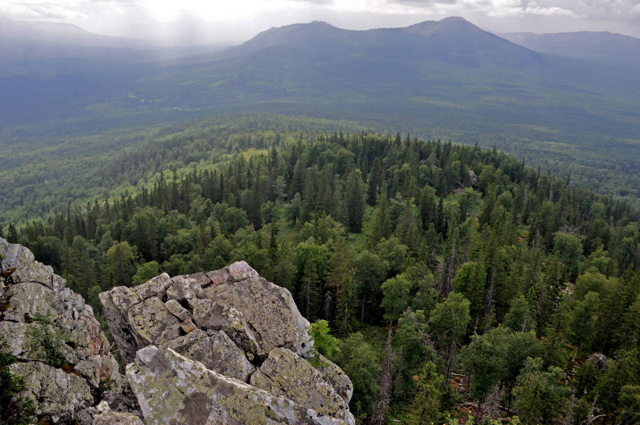 Хребет Москаль, image of landscape/habitat.