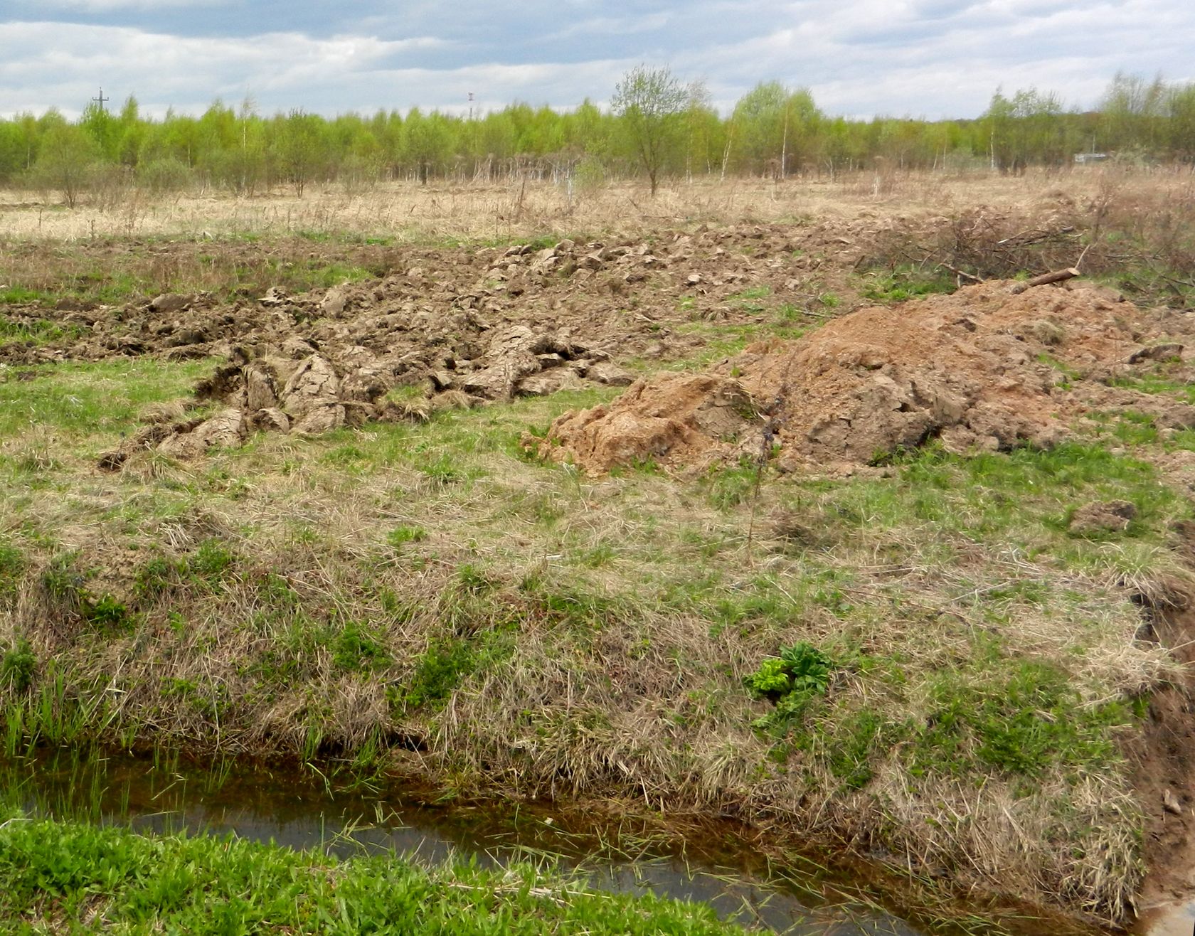 Ярцево, image of landscape/habitat.