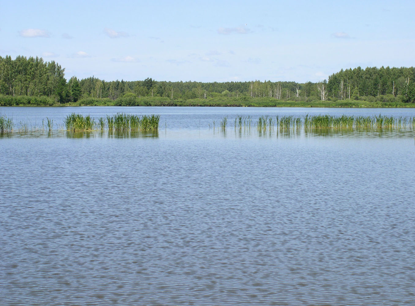 Иваньковское водохранилище, image of landscape/habitat.