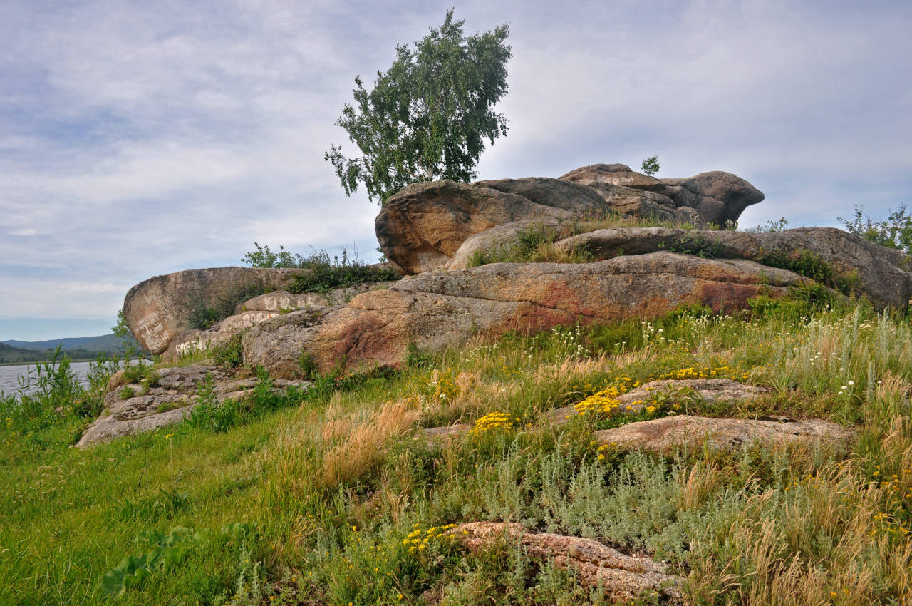 Озеро Колыванское, image of landscape/habitat.