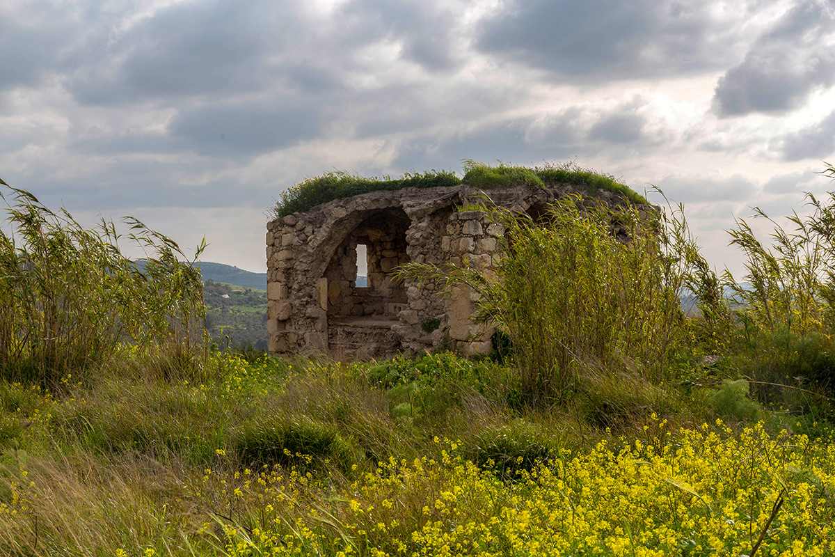 Окрестности Латруна, image of landscape/habitat.