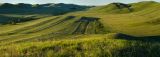 Image of landscape