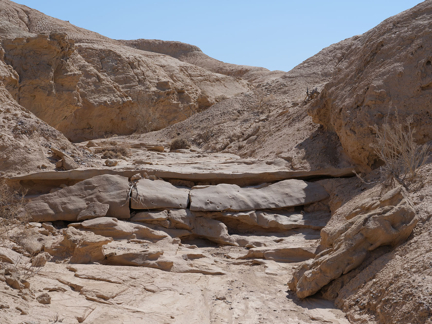 Сарымсакты, image of landscape/habitat.
