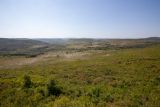 Image of landscape
