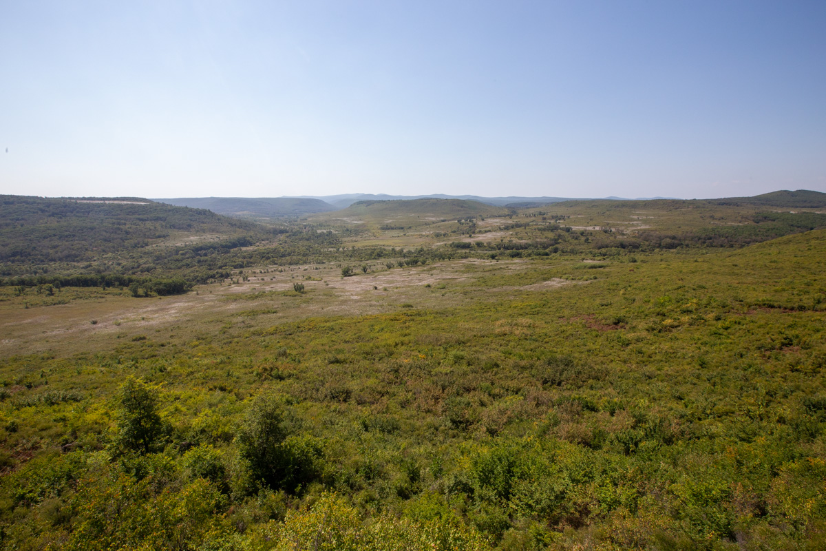 Николо-Львовское, image of landscape/habitat.