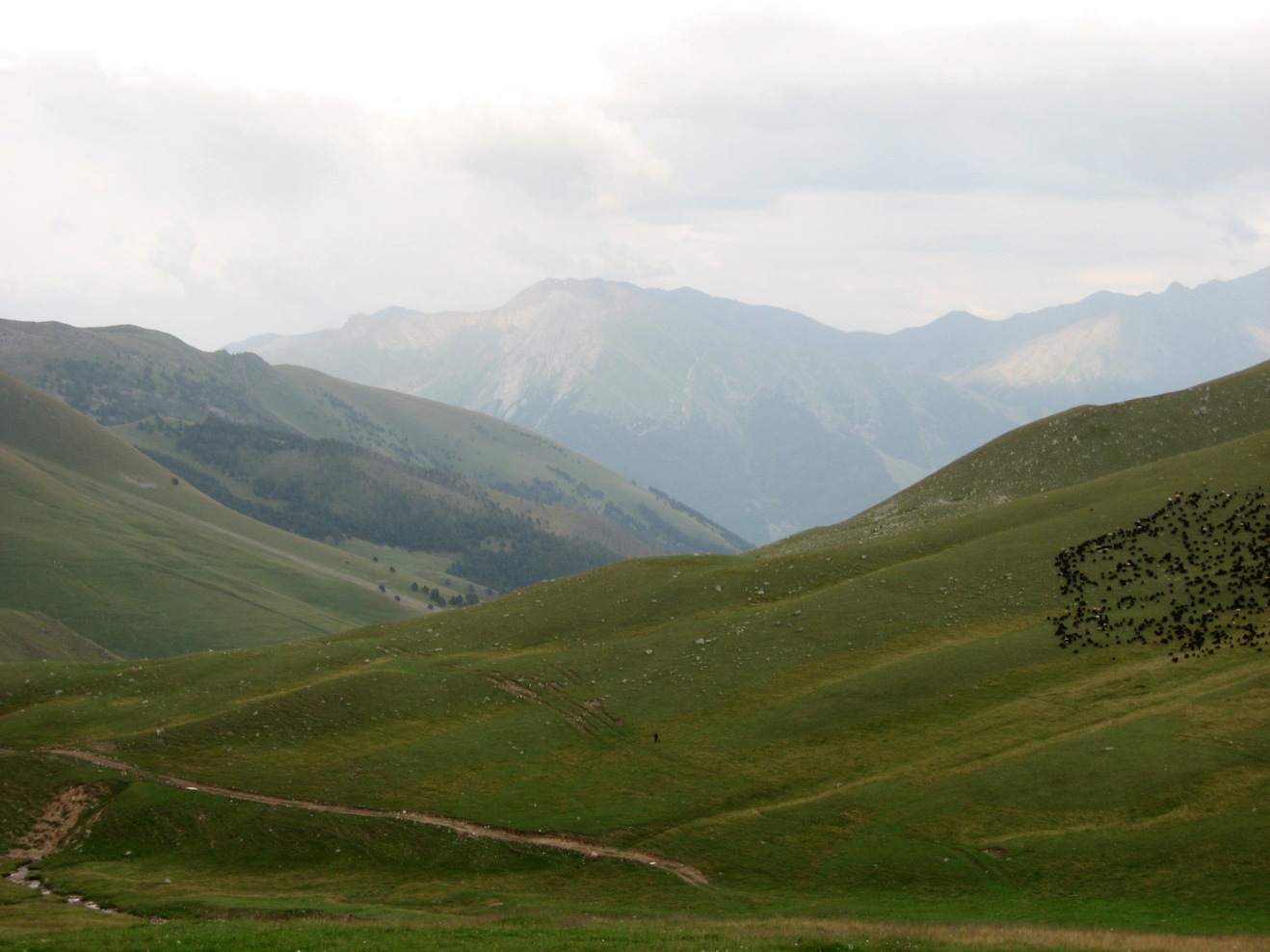Долина реки Муху, image of landscape/habitat.