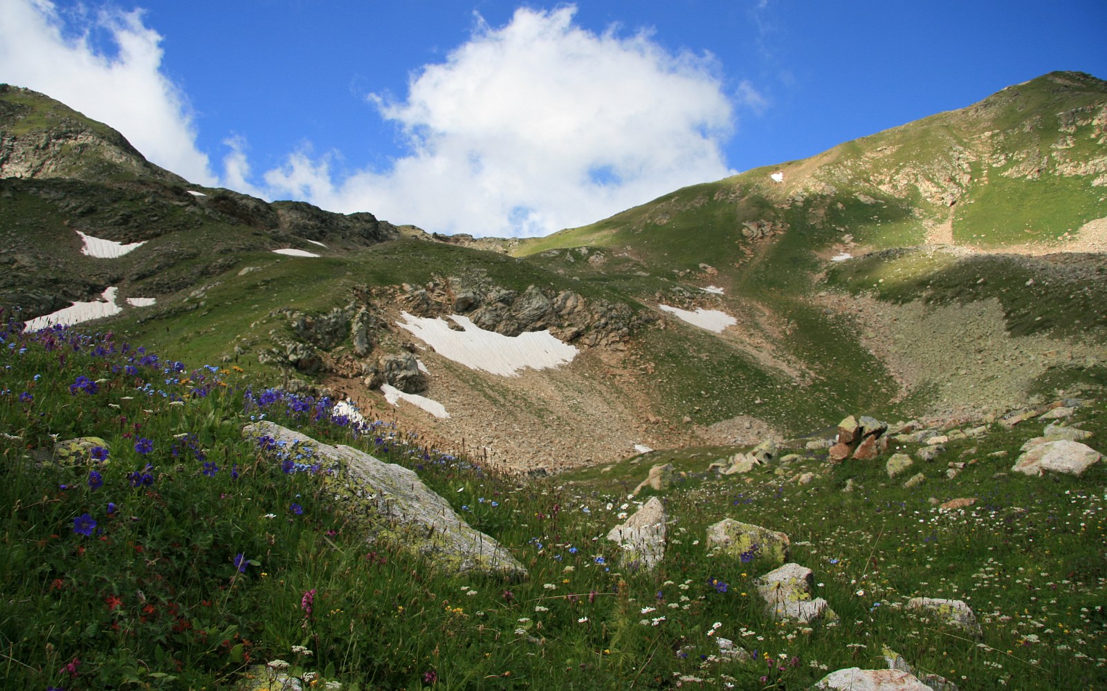 Хребет Ужум, image of landscape/habitat.
