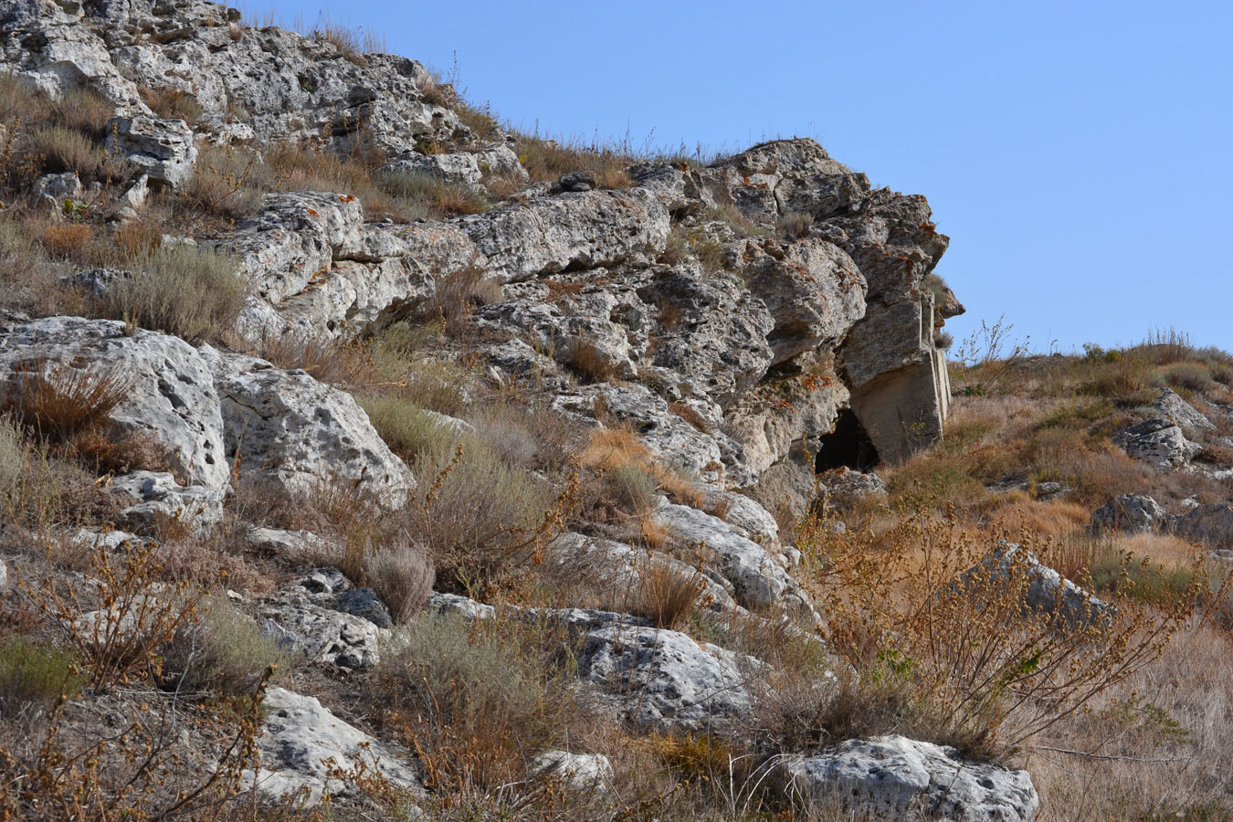 Опук, image of landscape/habitat.