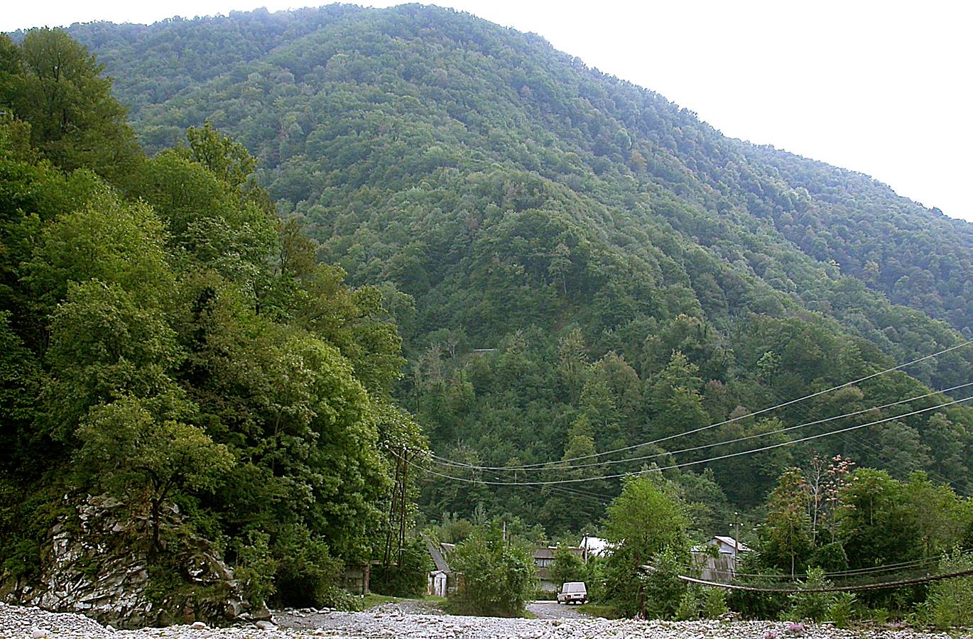 Татьяновка, image of landscape/habitat.