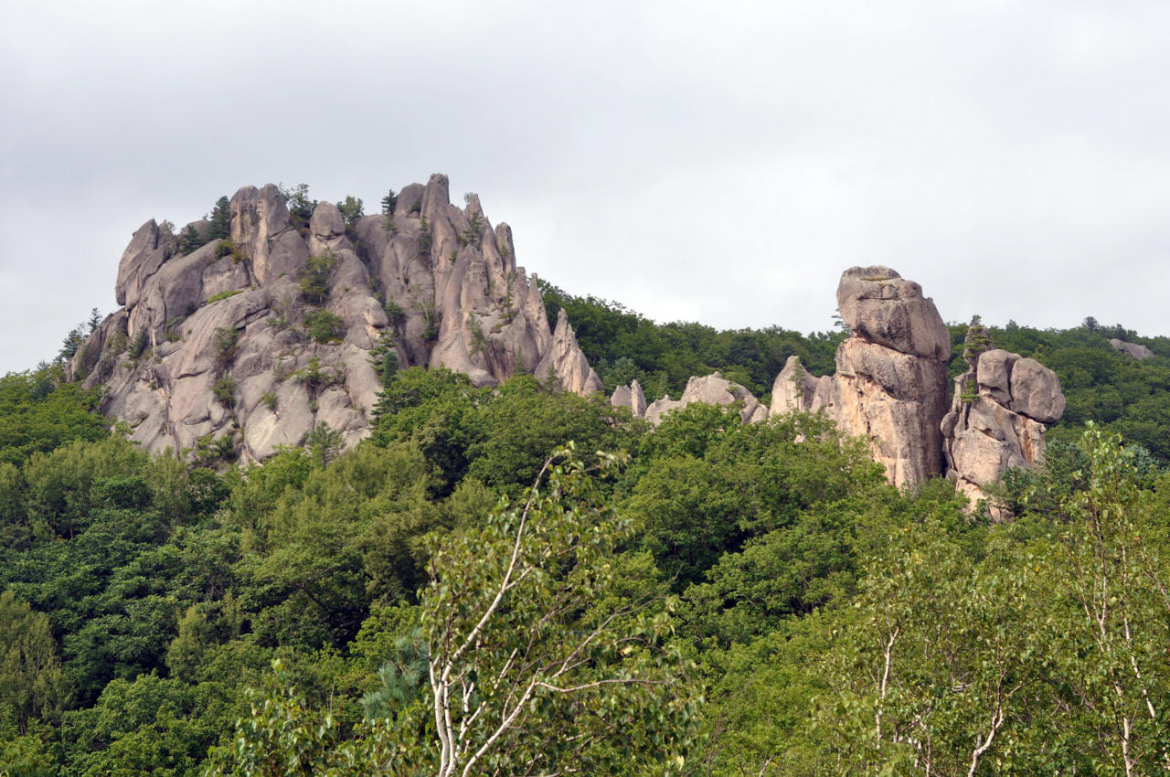 Окрестности села Чистоводное, image of landscape/habitat.