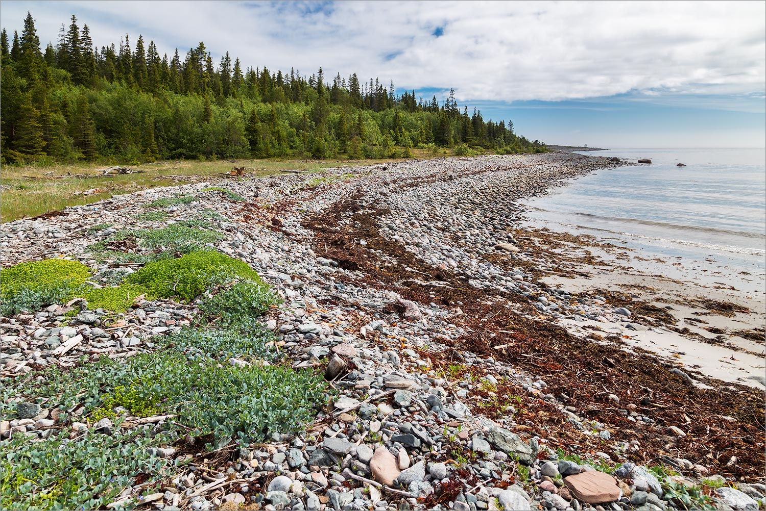 Мыс Носок, image of landscape/habitat.