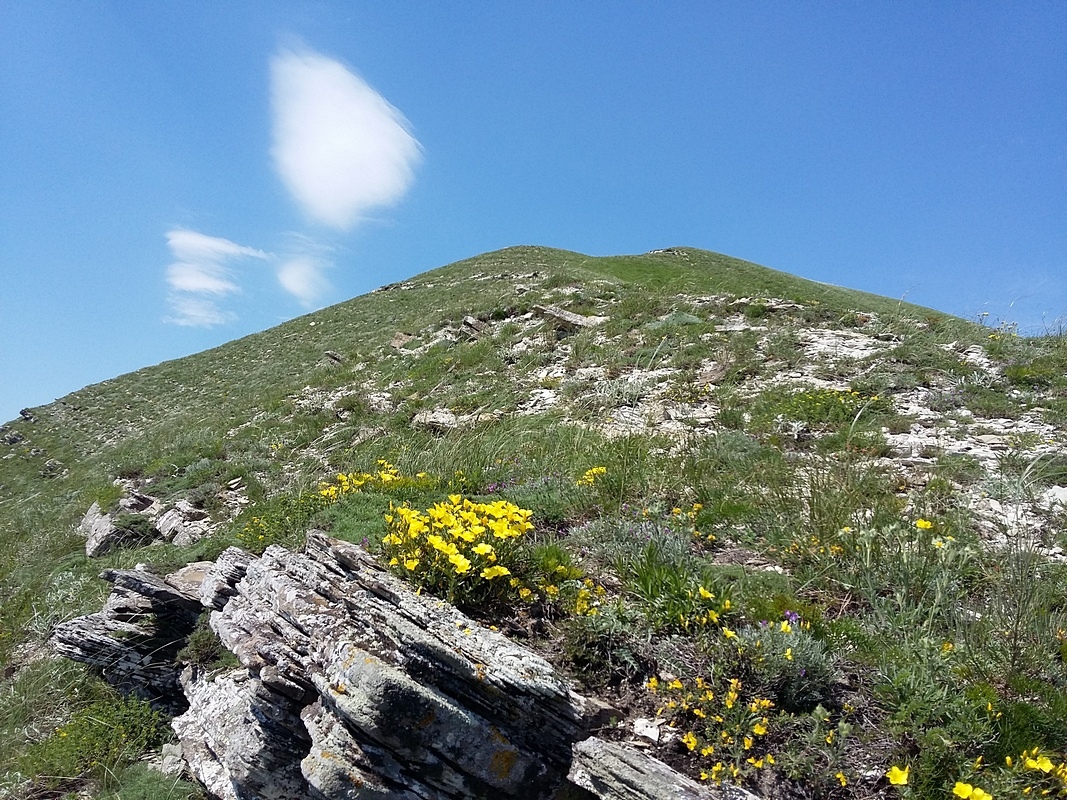 Гора Шахан, image of landscape/habitat.