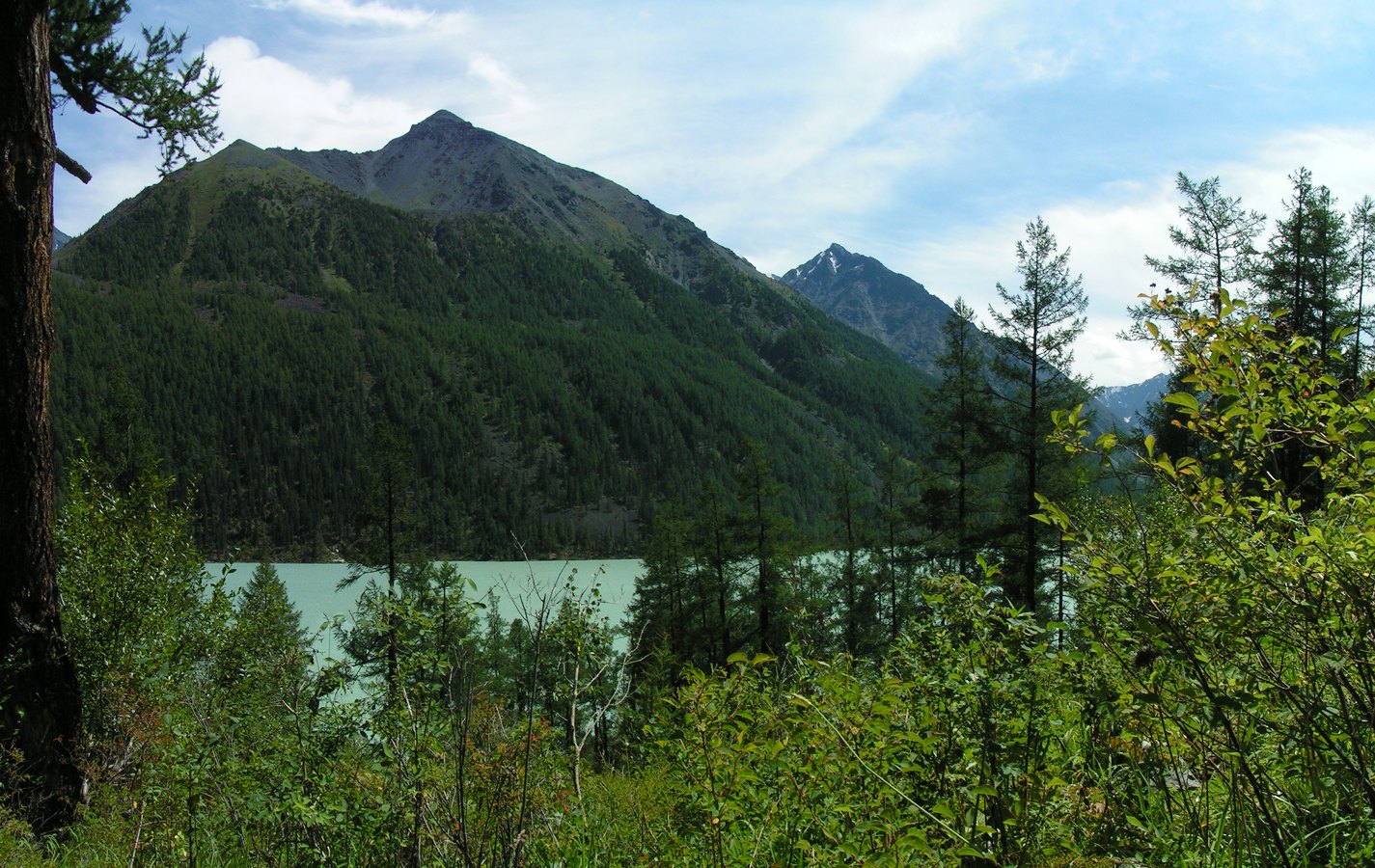 Озеро Кучерлинское, image of landscape/habitat.