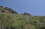 Image of landscape