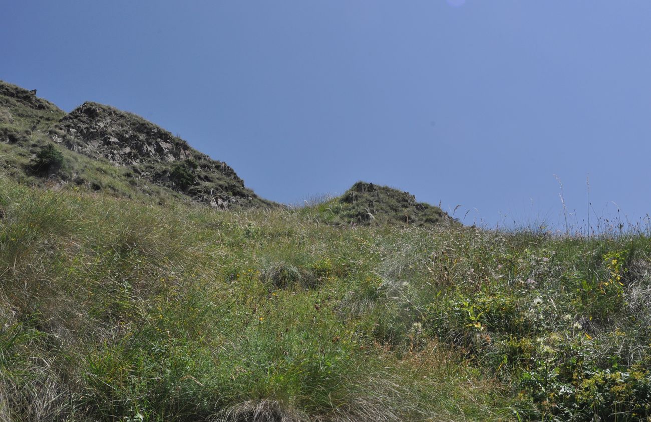 Западный склон горы Куро, изображение ландшафта.