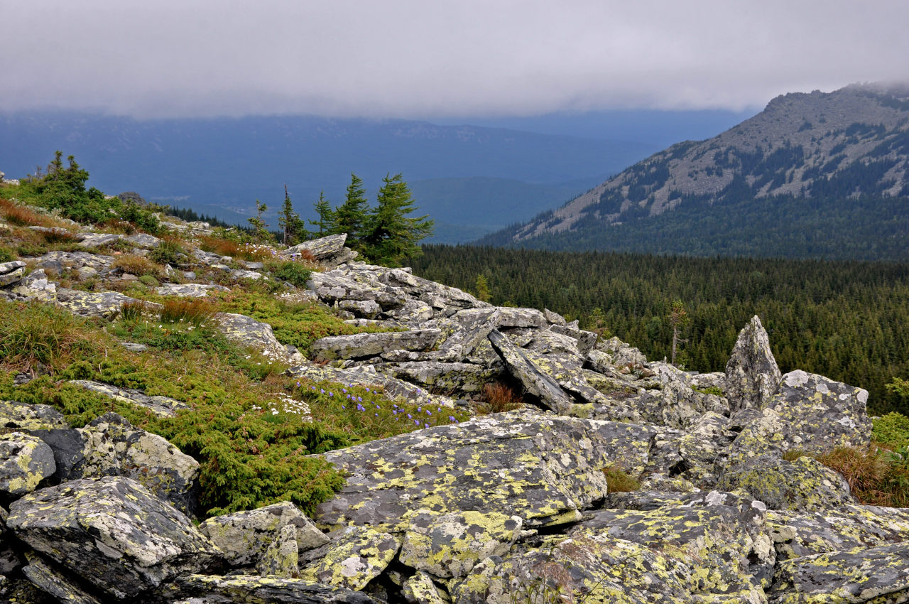 Большой Иремель, image of landscape/habitat.